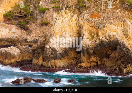 Scogliera rocciosa lungo il Cypress Grove Trail, Point Lobos State Reserve, Carmel California Foto Stock