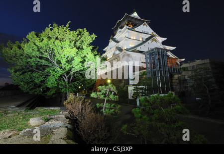Osaka in Giappone presso il Castello di Osaka di notte. Foto Stock