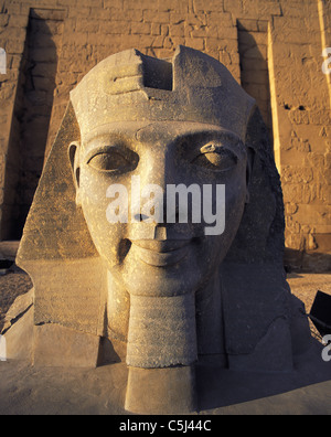 Testa scolpita di Ramses II al tempio di Luxor, Luxor, Egitto Foto Stock
