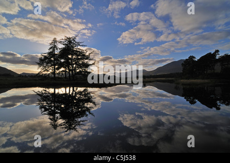 Stagliano pini cloud-riflessioni di Loch Tulla, Rannoch Moor, Highlands scozzesi, UK. Foto Stock