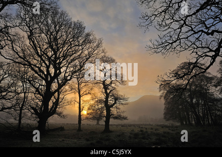 Fine sole splende attraverso il profilarsi di alberi in un pomeriggio invernale vicino a Killin, Perthshire, Scotland, Regno Unito Foto Stock