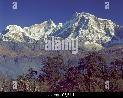 Il Manaslu (sinistra) e Himalchuli, picchi maggiori nel centro-nord del Nepal, visto sopra gli alberi su una alta cresta boscosa in Foto Stock