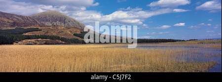 Un large reed-letto in Loch Cill Chriosd sotto Beinn na Caillich in Strath Suardal, Isola di Skye, Highlands scozzesi, UK. Foto Stock