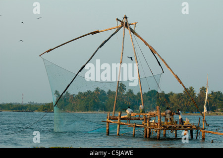 India Kerala, Fort Cochin (Cochi, Kochi). Stile cinese rete da pesca nel porto di Cochin. N versioni disponibili. Foto Stock
