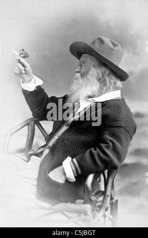 Walt Whitman, mezza lunghezza ritratto, seduto, rivolto verso sinistra, indossare un cappello e un maglione, tenendo butterfly, circa 1890 Foto Stock