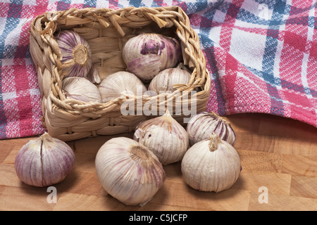 Ein Körbchen mit Knoblauchknollen | un piccolo cestino di aglio Foto Stock