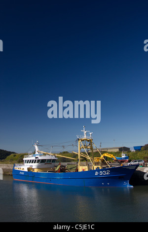 Cozza draga, Porth Penrhyn Foto Stock