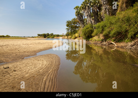 Dinder (Dindir), il Parco Nazionale del Sudan settentrionale, Africa Foto Stock