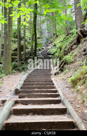 Scale per il cosiddetto Svezia fori vicino Rathen in Svizzera Sassone, Elba massiccio di arenaria, Bassa Sassonia, Germania Foto Stock