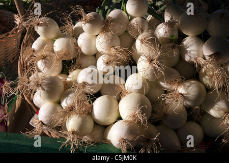 Cipolle bianche dell'agricoltore USA di mercato Foto Stock