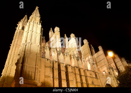 Cattedrale di La Seu Maiorca in Palma de Mallorca vista notte Isole Baleari Foto Stock