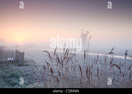 Horsey mulino in un freddo gelido e inverni nebbiosa mattina sulla Norfolk Broads Foto Stock