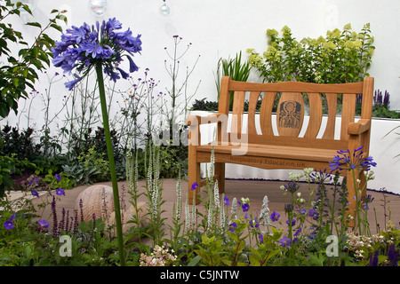 Ciondolo in Agapanthus fiorisce teste di fiori arrotondate. Panchina del giardino del cottage; The Respiratory Educational Landscape Garden Exhibit RHS Royal Horticultural Show Tatton Park, Cheshire, luglio 2011. Alto Foto Stock