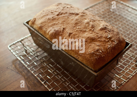 Irlandese pane marrone, un grano intero Pane fresco cotto al forno in una teglia per pane raffreddamento su una cremagliera sul tavolo della cucina. Foto Stock