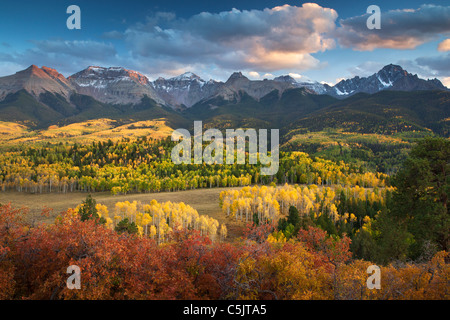 I colori autunnali e la gamma Sneffels, San Juan Mountains, Colorado. Foto Stock