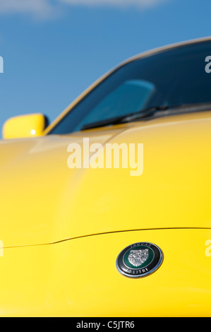 Jaguar XK8 auto. Il Badge e front end abstract Foto Stock