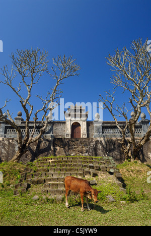 Asia, Vietnam, Tonalità. Tomba Reale di Dong Khanh. Designato un Sito Patrimonio Mondiale dell'UNESCO nel 1993, la tinta è onorato per il suo complesso Foto Stock