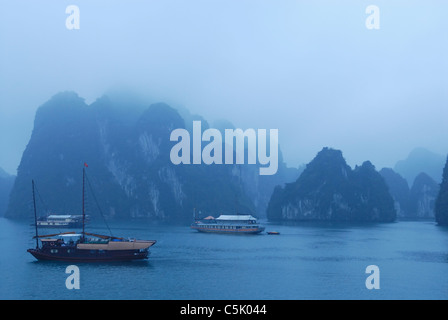 Asia, Vietnam, Halong Bay. Gita in barca sulla baia di Halong. La mattina presto dopo una sosta di una notte. Designato dall'UNESCO Foto Stock