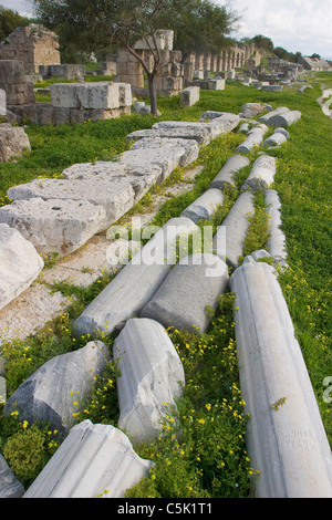 Le colonne in marmo giacente a terra nell'ippodromo, pneumatico, Libano Foto Stock