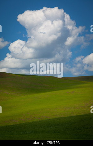 Paesaggio della Palouse area agricola dello stato di Washington orientale, STATI UNITI D'AMERICA Foto Stock