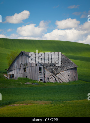 Fienile fatiscente edificio nel settore agricolo area Palouse dello stato di Washington orientale Foto Stock