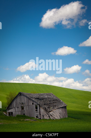 Fienile fatiscente edificio nel settore agricolo area Palouse dello stato di Washington orientale Foto Stock