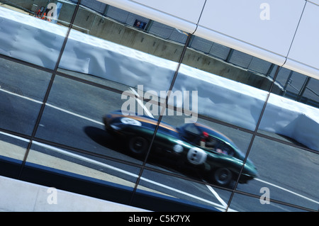 Jaguar E-Type Challenge - Silverstone Classic Foto Stock