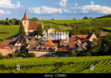 Sera La luce del sole sopra il borgo medievale di Hunawihr lungo la strada del vino Alsaziano Haut-Rhin Francia Foto Stock