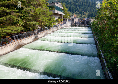 I pesci passano a Bonneville Dam Columbia River Gorge su Oregon Washington USA di confine Foto Stock