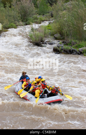 Fiume puntoni in acque bianche sul Rio Grande, verticale Foto Stock