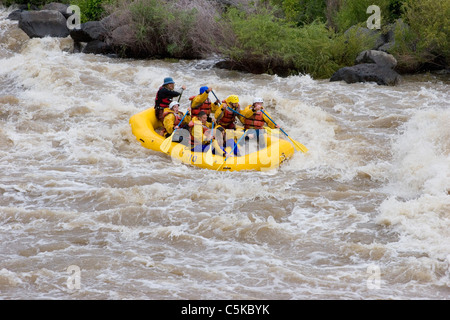 Rafters paddle ferocemente sul fiume Rio Grande Foto Stock