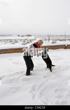 La donna gioca con il cane nella neve. Foto Stock