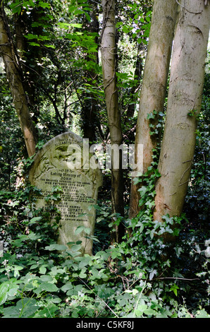 Lapidi presso il cimitero di Nunhead a Londra Foto Stock