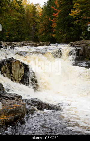 Cascata del torrente Phillilps fiume con caduta di alberi a colori in background. Foto Stock