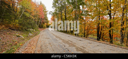 Caduta di alberi colorati linea una strada di campagna. Foto Stock