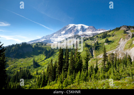 Mount Rainier e alberi di Washington (USA) Foto Stock