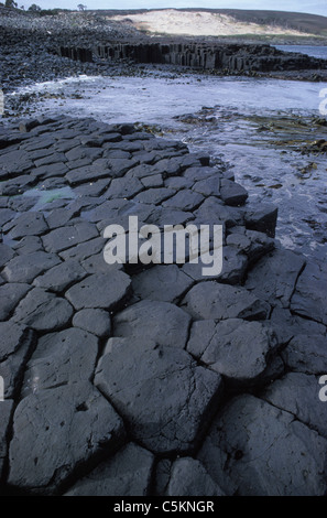 Basalto colonnare rock formazione simile al Giants Causeway in Irlanda del Nord, Isola Chatham, Nuova Zelanda. Foto Stock
