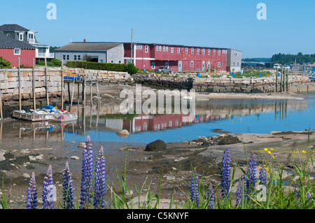 Porto Stonington Maine Foto Stock