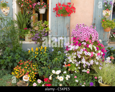 Fiori in vaso in tutta la strada-anteriore di una piccola casa di Aigues-Mortes, Francia Foto Stock