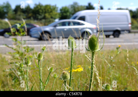 M40 Autostrada orlo con veicoli che passano, Warwickshire, Regno Unito Foto Stock