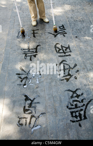 Busker che espone l'arte della calligrafia con scrittura d'acqua di caratteri cinesi con 'pennelli dell'inchiostro' ai turisti al Palazzo d'Estate a Pechino, Cina. (61) Foto Stock