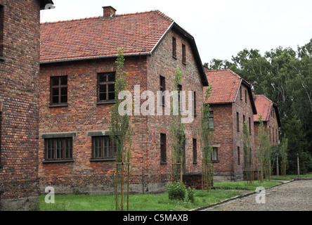 Campo di Auschwitz, vista sulla caserma Foto Stock