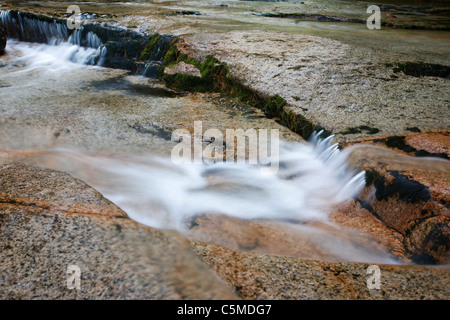 Bartlett foresta sperimentale - Albany Brook durante i mesi di estate in Bartlett, New Hampshire USA. Foto Stock