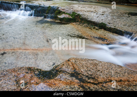 Bartlett foresta sperimentale - Albany Brook durante i mesi di estate in Bartlett, New Hampshire USA. Foto Stock