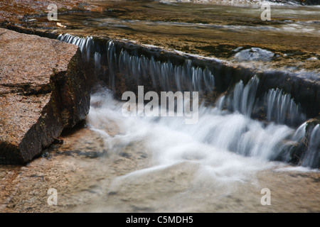 Bartlett foresta sperimentale - Albany Brook durante i mesi di estate in Bartlett, New Hampshire USA. Foto Stock