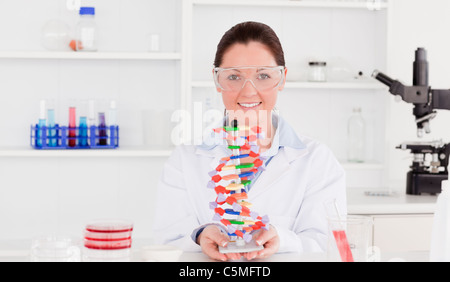 Bella scienziato che mostra la doppia elica del DNA modello Foto Stock