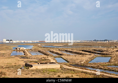 Castro Marim salt marsh riserva naturale, Algarve, PORTOGALLO Foto Stock