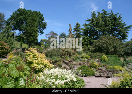 Vista del giardino di roccia a Ness Giardini Botanici, Wirral, Regno Unito Foto Stock