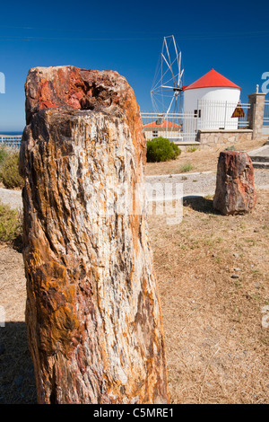 Un fossili di tronco di albero dal Lesbo foresta pietrificata di fronte a una stoffa tradizionale navigato mulino a vento a Sigri, Lesbo, Foto Stock