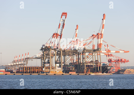 La Maher terminali terminale per container nel porto Newark-Elizabeth Terminale Marino sulla baia di Newark. Foto Stock